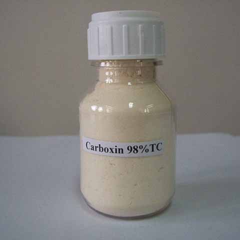 Carboxin； Carboxine; CAS NO 5234-68-4; anilide fungicide for bunts and smuts 