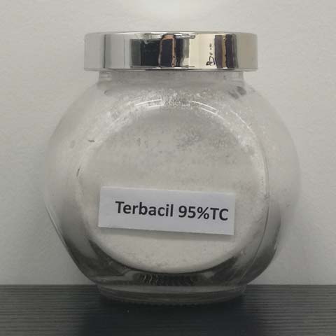 Terbacil; Turbacil; CAS NO 5902-51-2; selective herbicide for annual grasses, broad-leaved weeds and some perennial weeds 