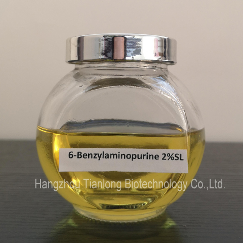 6-Benzylaminopurine (6-BA)