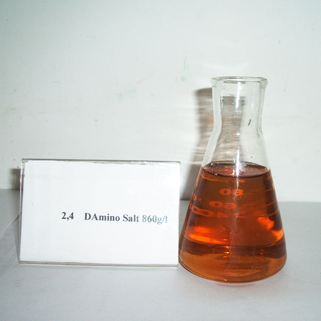 2,4-D Dimethylammonium