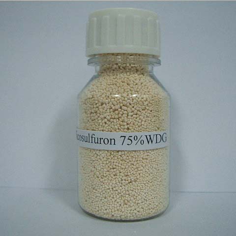 Nicosulfuron; CAS NO 111991-09-4; EC NO 601-148-4; broad spectrum herbicide for maize weeds